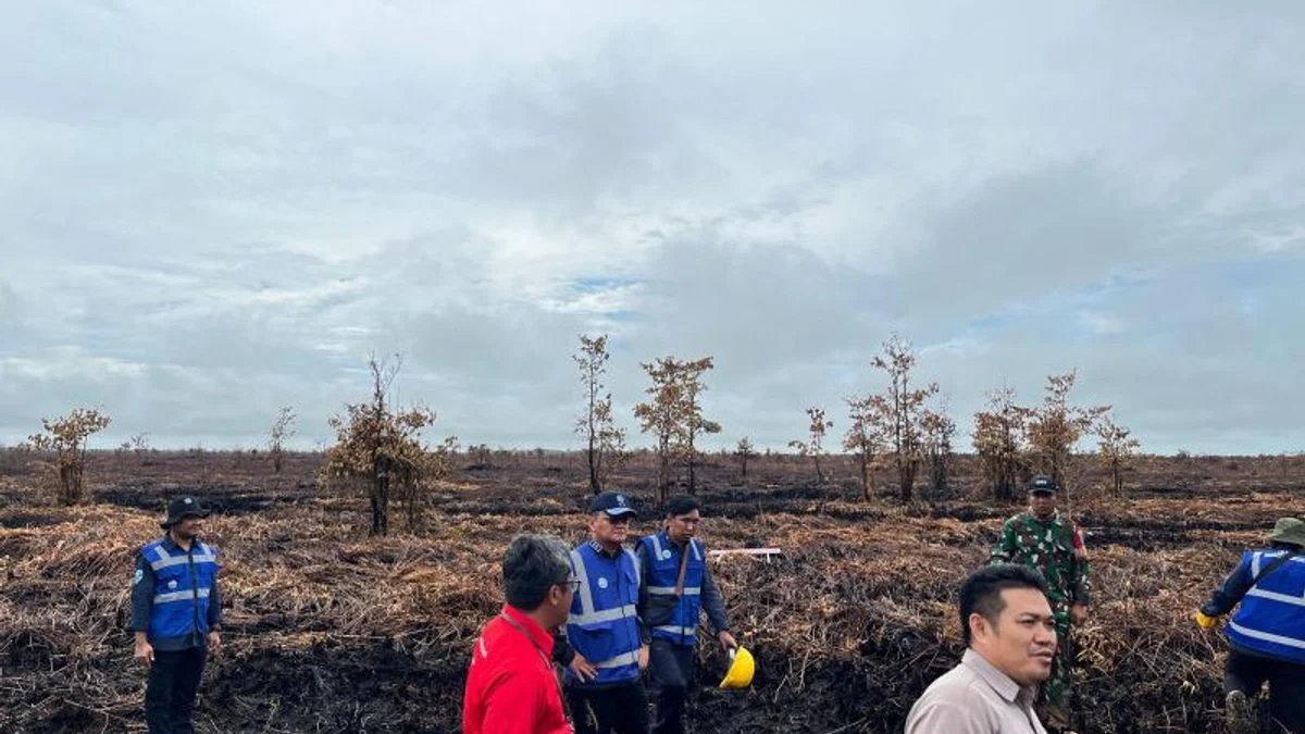 Kemenhut Sanksi Enam Perusahaan Penyebab Karhutla Berulang di Kalimantan
