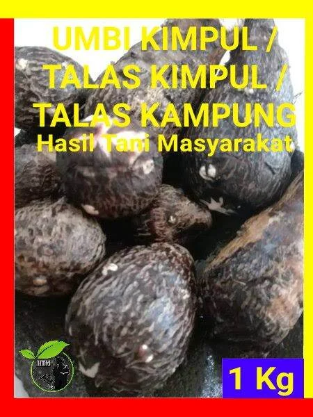 Kimpul Viral di TikTok: Umbi Lokal Kaya Manfaat dan Mudah Diolah