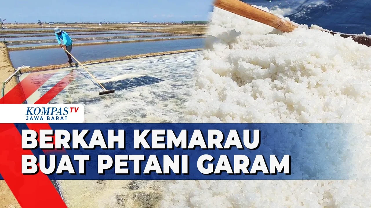 OJK Cirebon Fasilitasi Akses Pembiayaan bagi Petambak Garam Sesuai Musim Panen