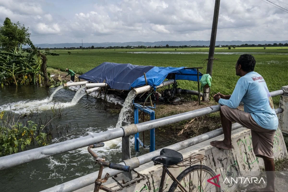 Pemprov Sulsel Siapkan 300 Unit Pompa Air Hadapi Dampak El Nino