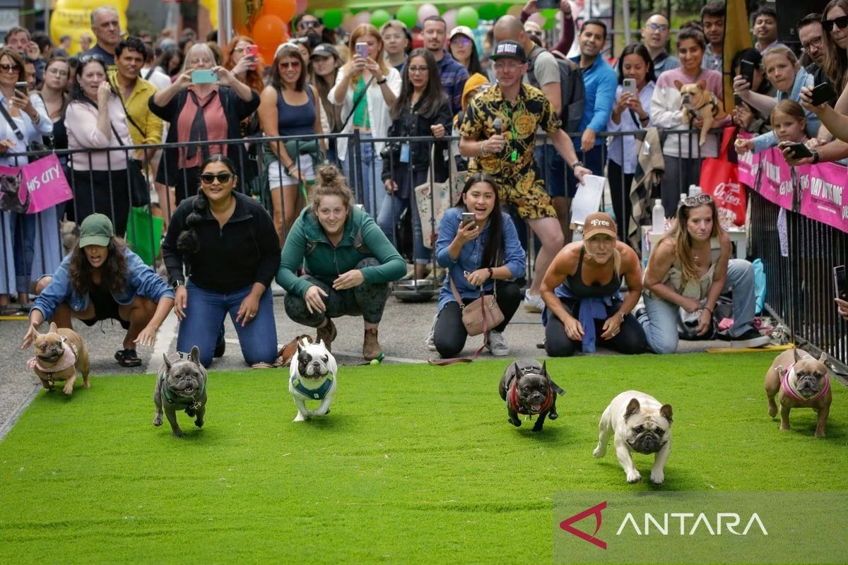 Pet‑A‑Palooza 2024: Kemeriahan Hari Anjing di Vancouver, Kanada