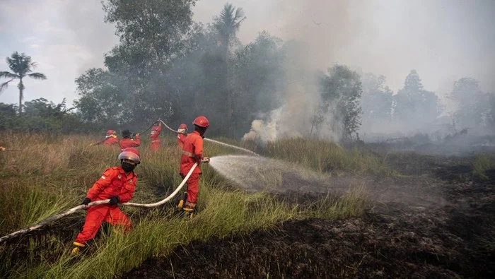 Petugas Gabungan Padamkan Kebakaran Lahan di Ogan Ilir