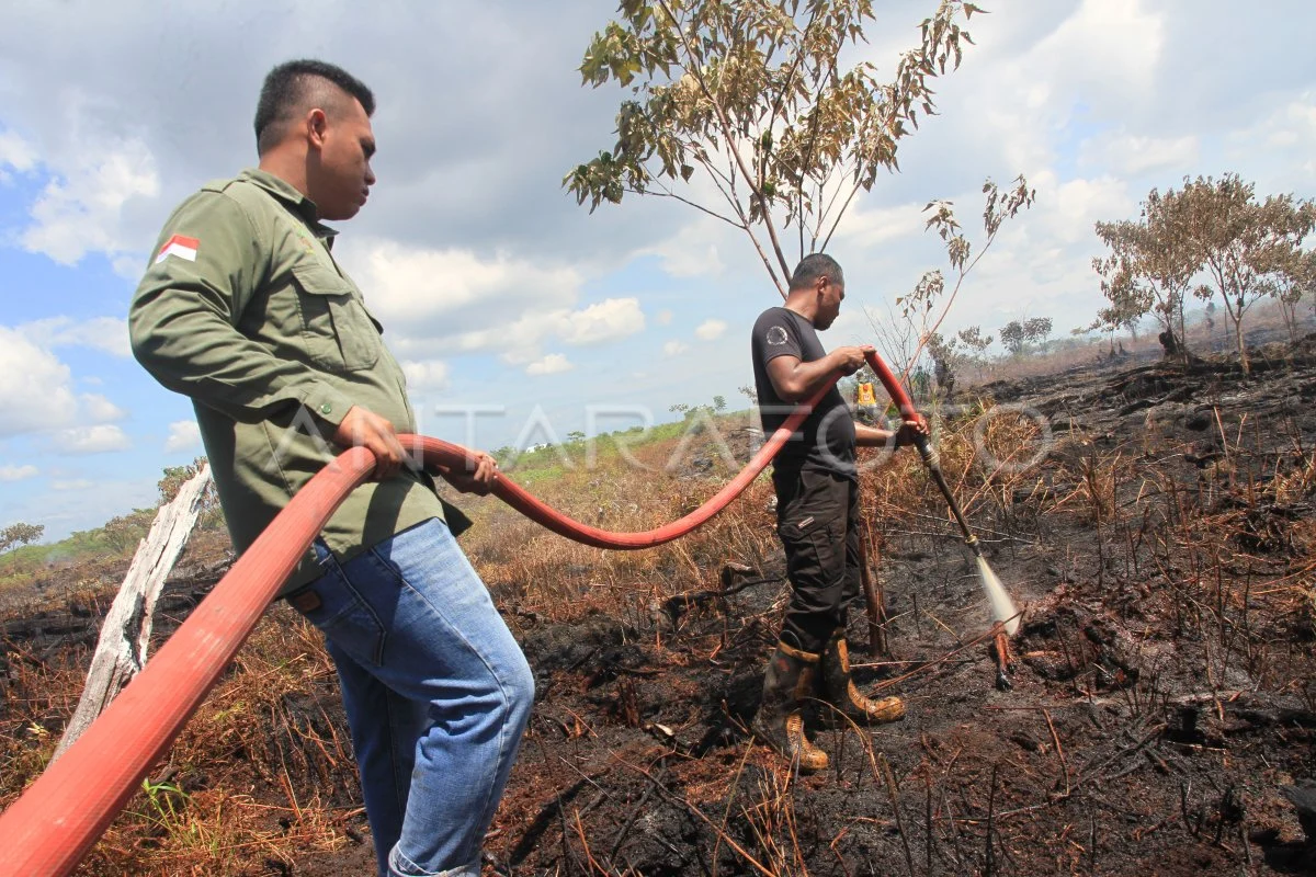 Petugas Padamkan Kebakaran Lahan Gambut di Kawasan Tol Balikpapan‑Samarinda