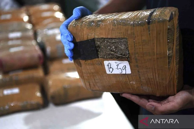 Polda Sumut Tangkap Tiga Tersangka Jaringan Pengedar 169,6 Kg Ganja