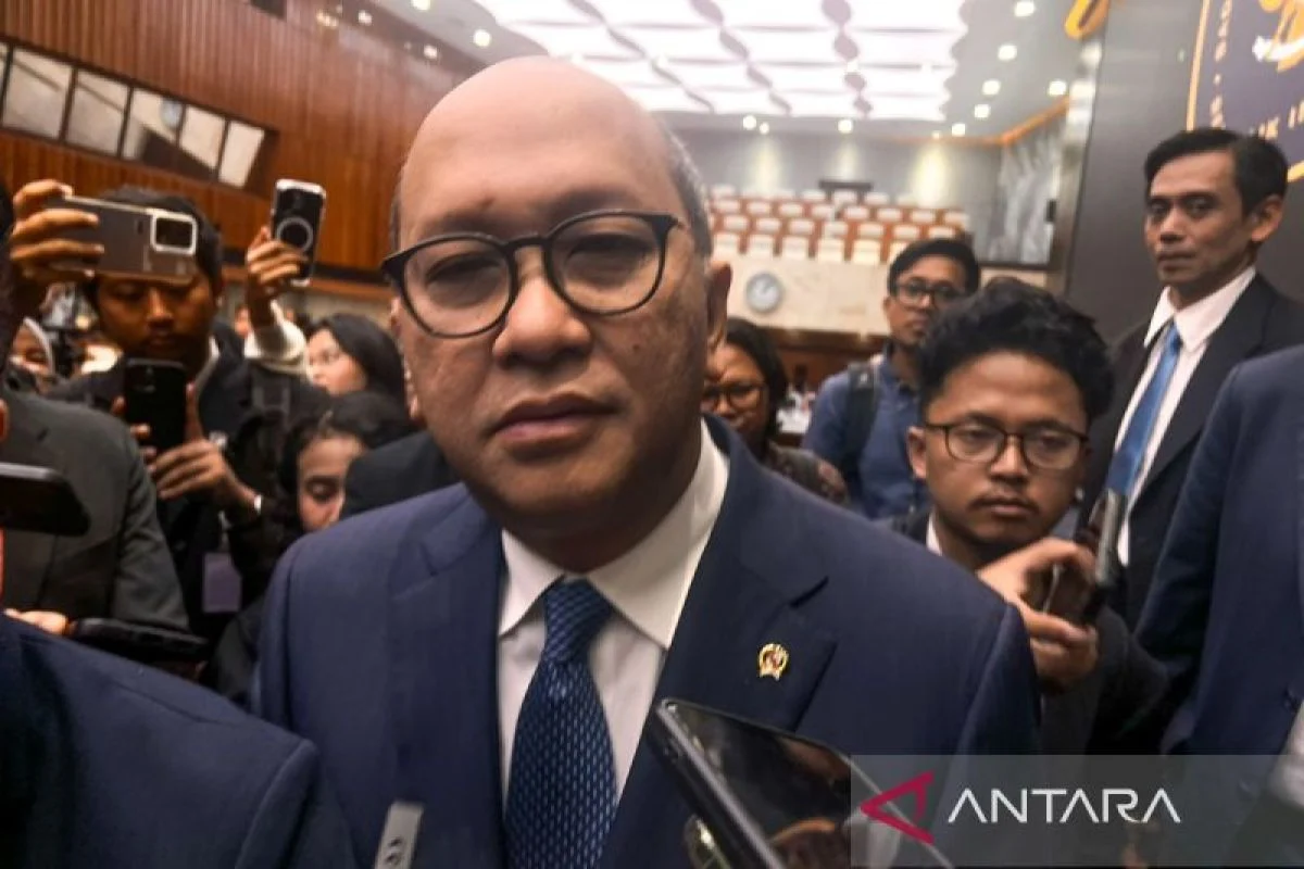 Rosan Tegaskan DSI Bukan Eksportir Tunggal Komoditas Indonesia
