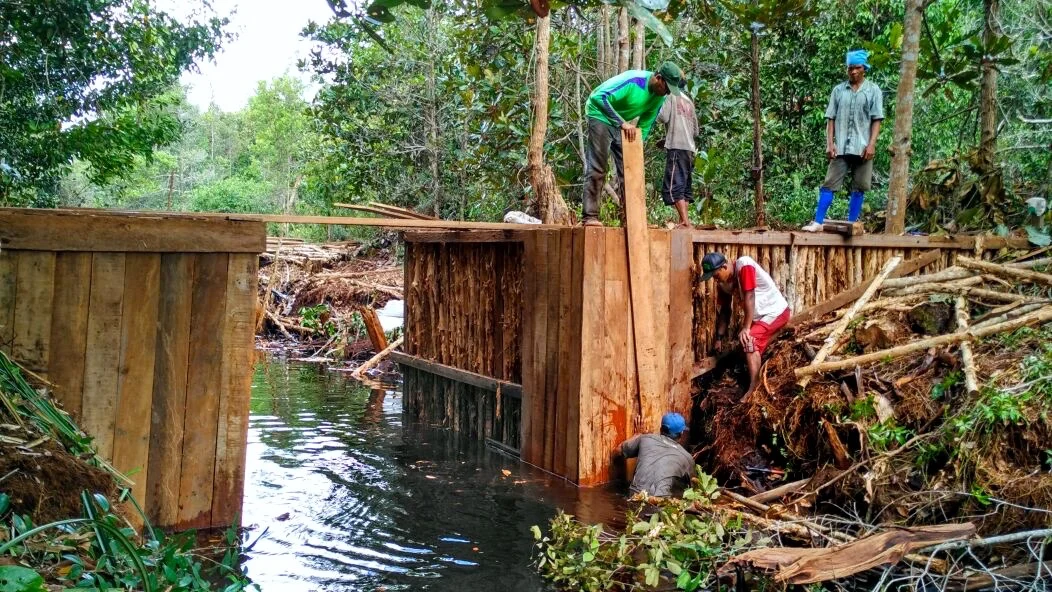 Wamen LH Dorong Swasta Bangun Sekat Kanal Gambut